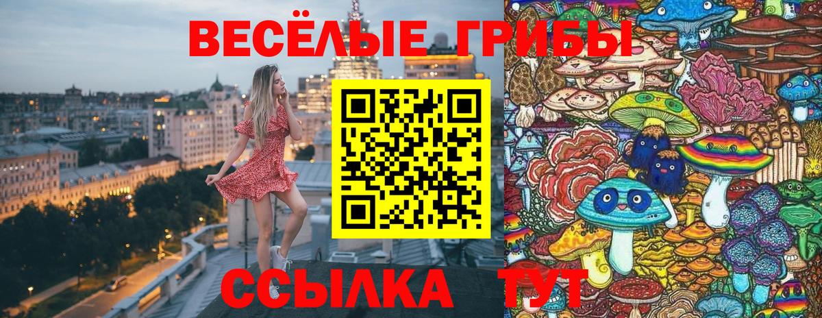 Галлюциногенные грибы Magic Shrooms Салехард