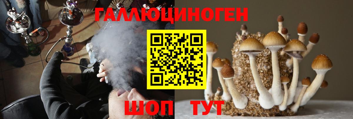Галлюциногенные грибы мицелий  Вход с VPN  Салехард 